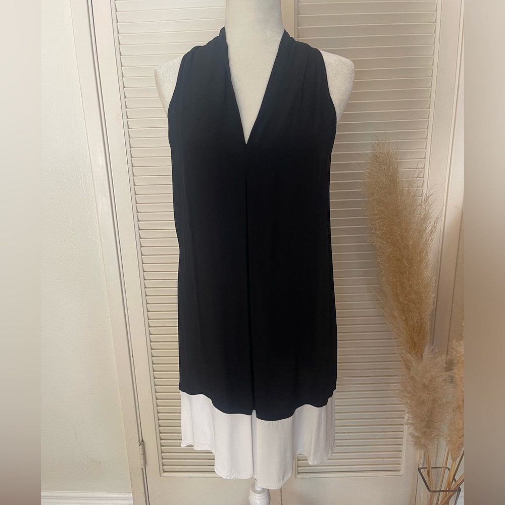 Max studio dress